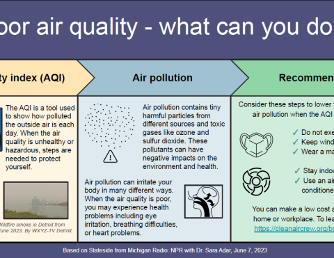 Information on air pollution and recommendations to reduce exposure